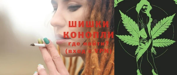 2c-b Осинники