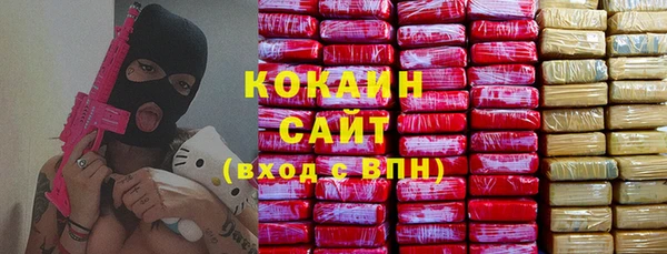 дмт Осташков