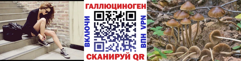 Псилоцибиновые грибы мицелий  Кумертау 